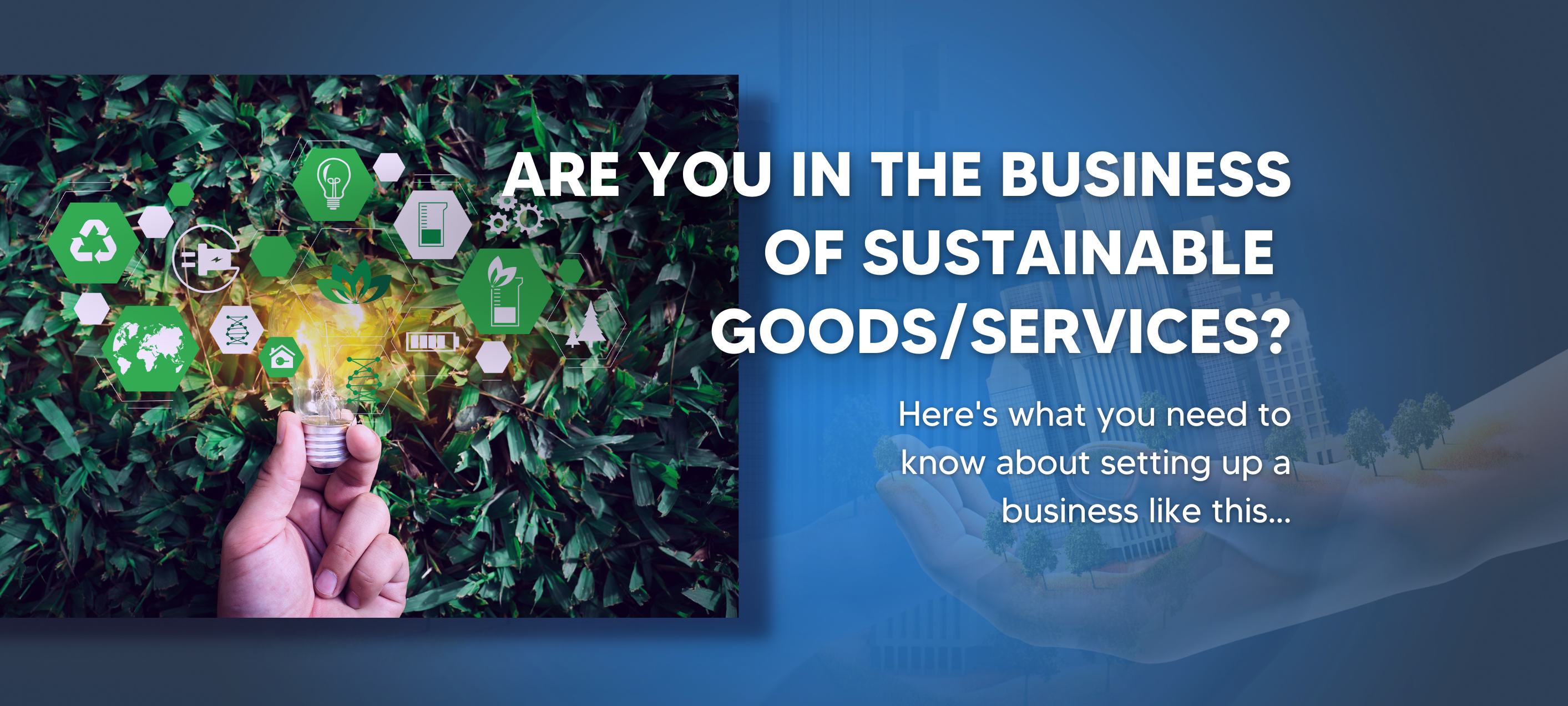 Everything you need to know to set up a sustainable goods & services business in the UAE