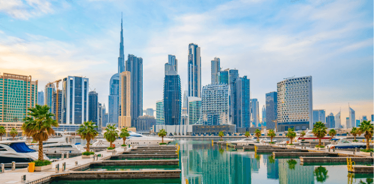 Freezone Business Setup Cost in Dubai